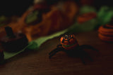 Halloween Macaron Monster Mix Box 10
