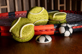 Sport Macaron Box — 6 Pack 🏆 (Copy)